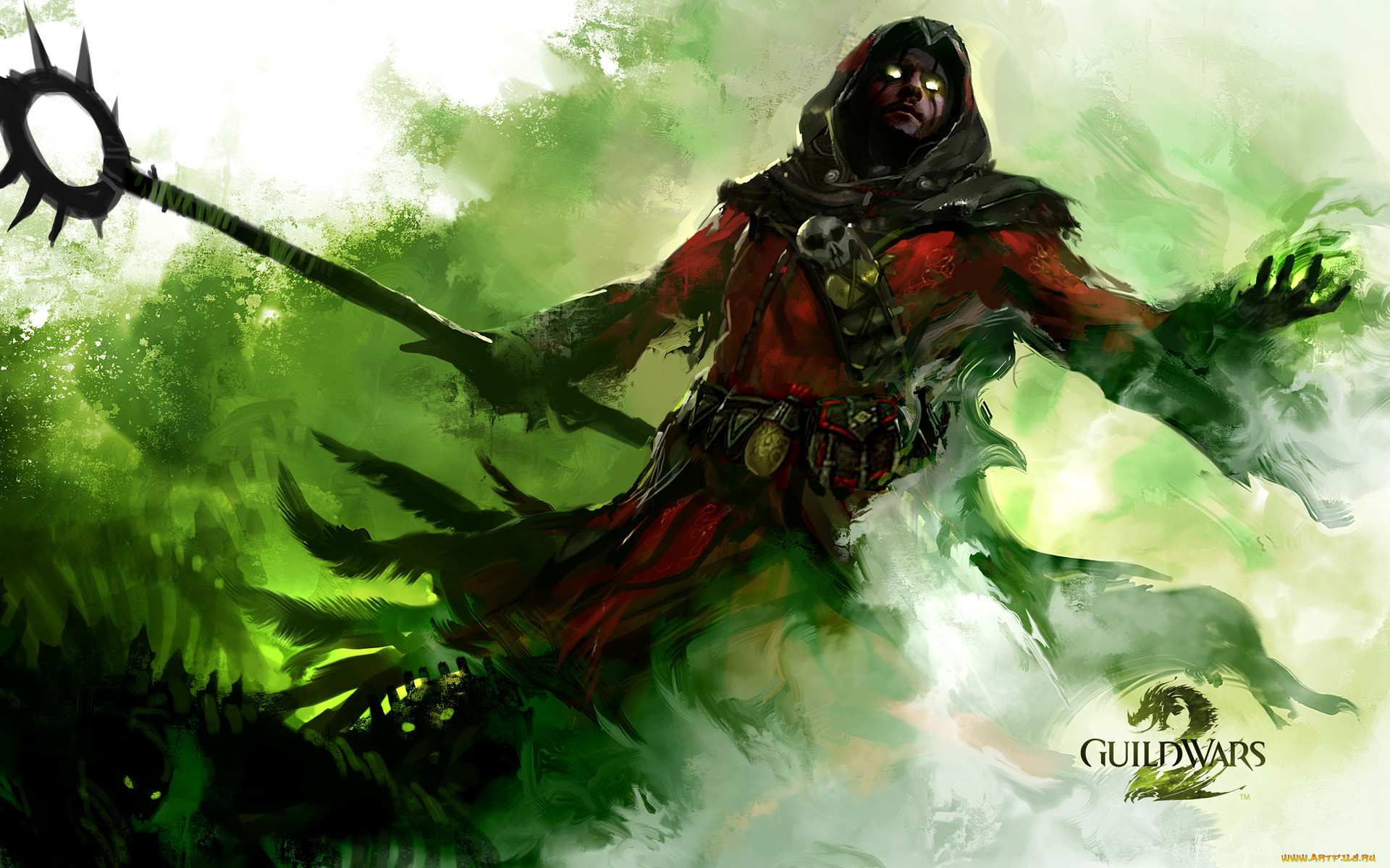 guild, wars, , 